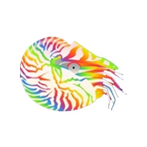 Gummybear Nautilus